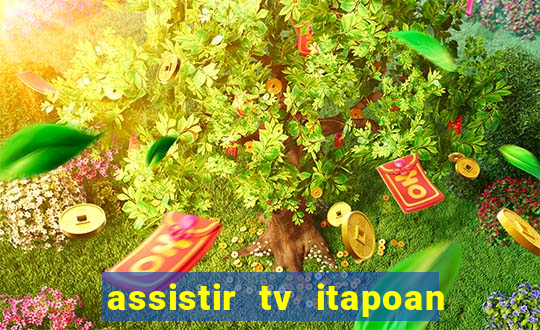 assistir tv itapoan record bahia ao vivo gratis